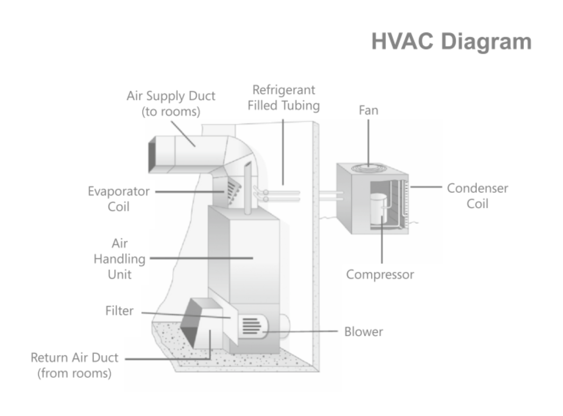 Untitled design - 2024-12-23T164446.241